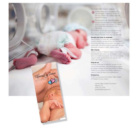 Non-profit brochure